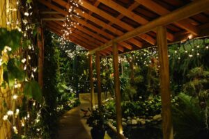 pergola at night near lush greenery and lighting