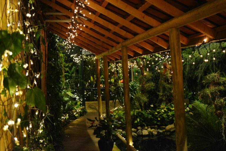 pergola at night near lush greenery and lighting