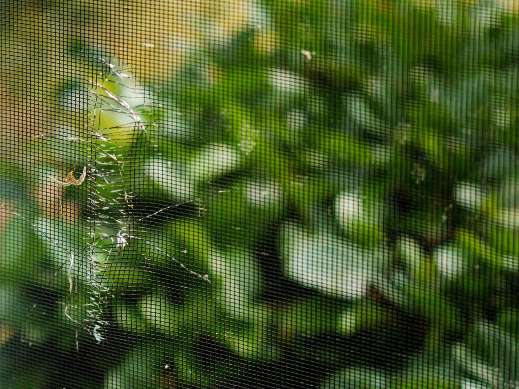 ripped screen